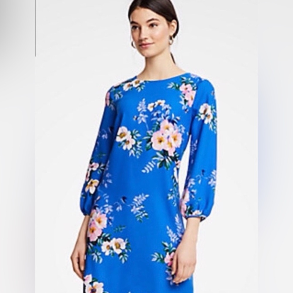 Ann Taylor Blue Floral Long Sleeve Dress
